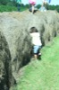 resIMG_20141004_125006_3366.JPG